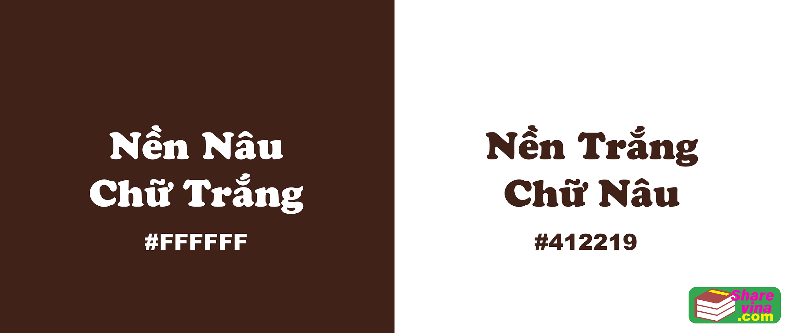 cong-thuc-phoi-mau-ccs-cho-video-hinh-anh-hai-mau-doi-lap-tao-tuong-phan-cao-03.png