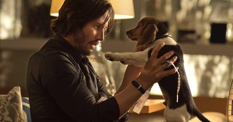 Simihub.com - John Wick (2014).jpg