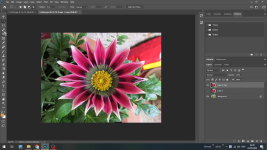 huong-dan-lam-vien-anh-mo-dan-trong-suot-dan-tu-trong-ra-ngoai-bang-adobe-photoshop-simihub-ca...png