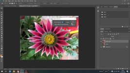 huong-dan-lam-vien-anh-mo-dan-trong-suot-dan-tu-trong-ra-ngoai-bang-adobe-photoshop-simihub-ca...png